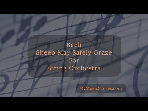 Bach Sheep May Safely Graze for String Orchestra - YouTube