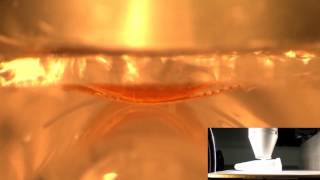 Geckos Could Inspire Super-Strong Lifting Robots | Inverse