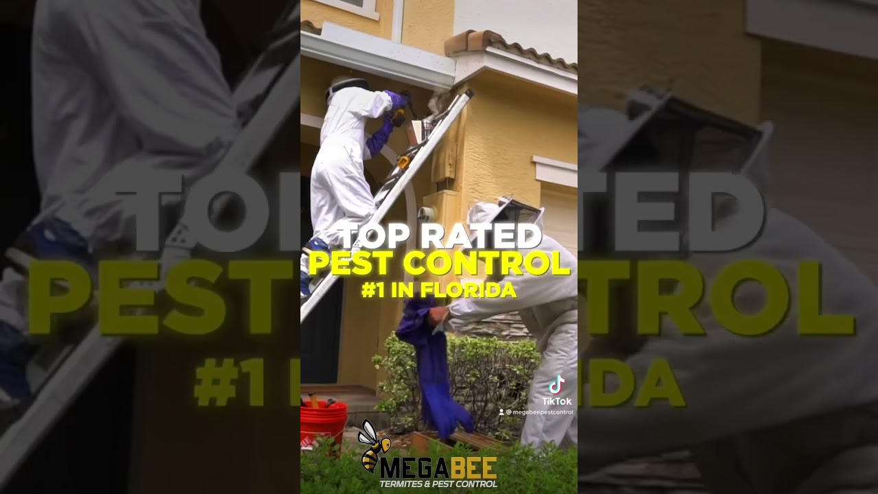 Miami Bee Rescue & South Florida’s Pest Control Company!