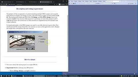 9.12 Project 4: Selecting JPEG images by radio buttons