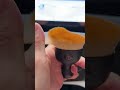🧽🚗Нужна ли эта маленькая щётка для авто?