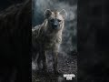 Night Echoes 🌙 | Deep House Vibes