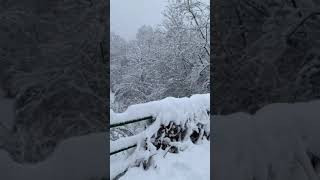 Neve bassa comasca 28/12/2020