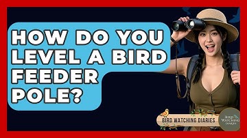 How Do You Level A Bird Feeder Pole? - Bird Watching Diaries