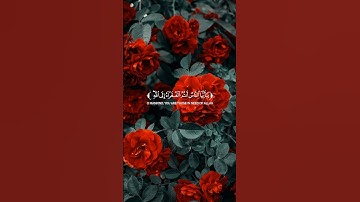 🌿 تلاوة من سورة فاطر | بصوت خاشع القارئ أشرف إمام