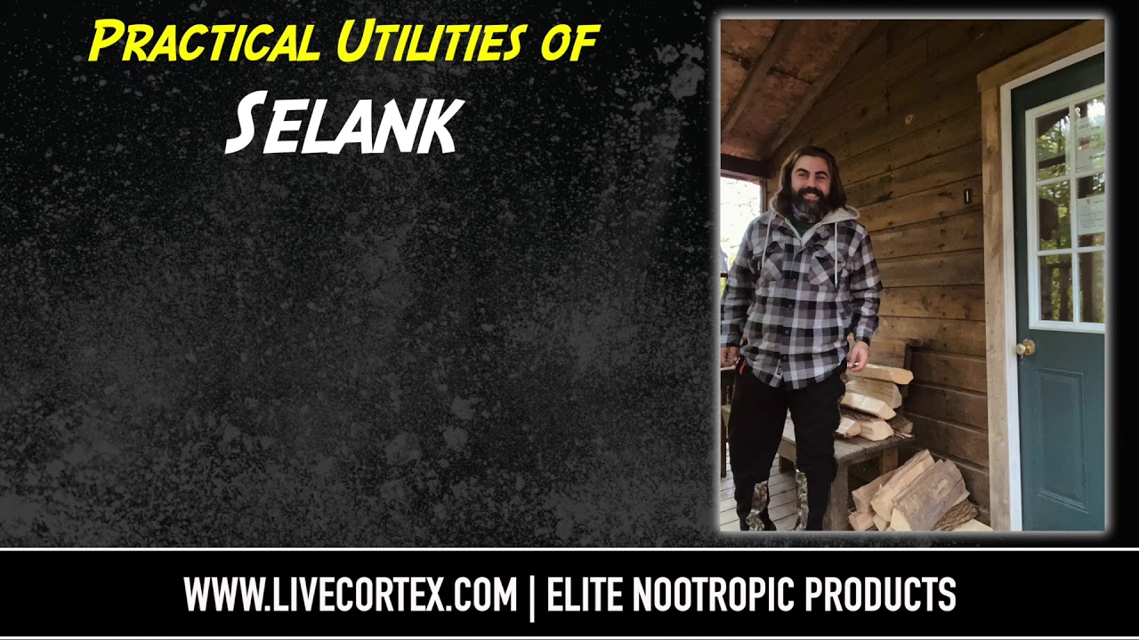 SELANK: GABA A, Dopamine, Serotonin.. and other UTILITIES