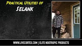 SELANK: GABA A, Dopamine, Serotonin.. and other UTILITIES