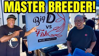 Master Koi Breeder Gifts me Koi Fish!