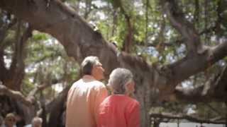 Lahaina Town: Explore Maui's History