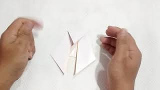 How to make an Origami Walrus Super Easy - Origami Walrus Easy | Origami walrus instructions