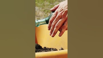 What is archaeology?