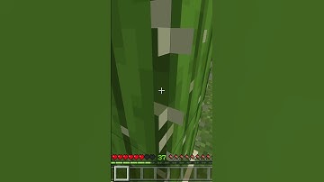 Minecraft Logic Makes No Sense Part 2 #shorts