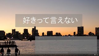 I Can't say "I love You."