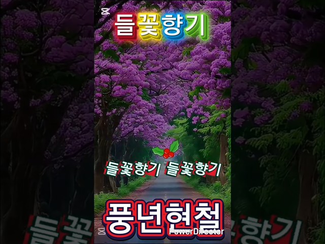 들꽃향기 #자작곡 #트로트 #음악 #트롯 #인생노래 #노래 #음악추천 #웃음 #현철