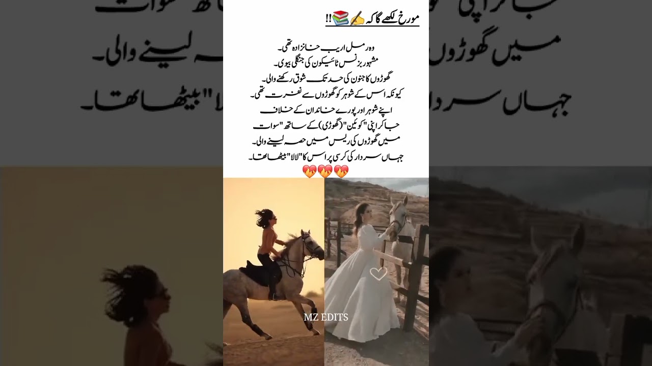 guess the novel character😇🤗 