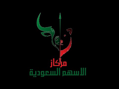 سهم مبكو 1202 بتاريخ 19 08 2025