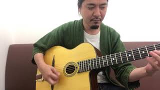 Stringphonic Advanced Oval    [LAST GUITAR]