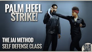 The Jai Method - Self Defense Class 1 Snippet, The Palm Heel Strike