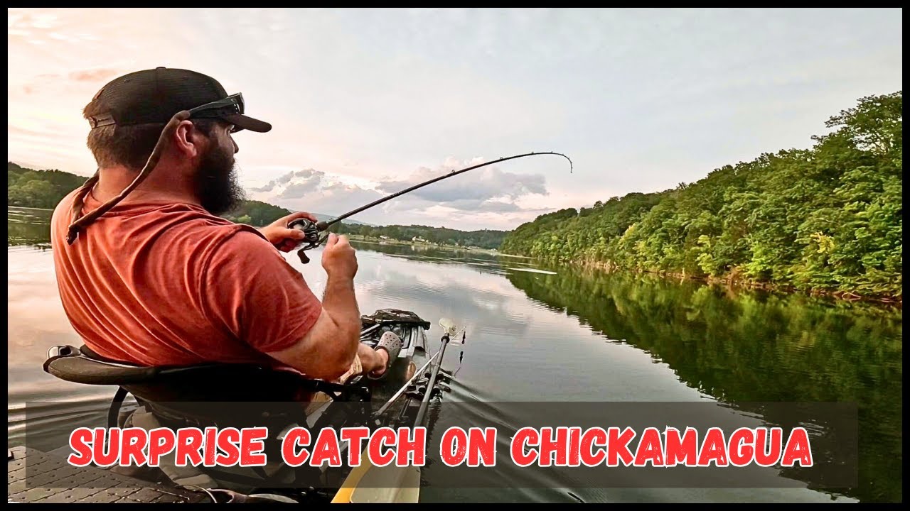 🎣 Bass Fishing on Chickamauga Lake | SURPRISE Catch! 🐟