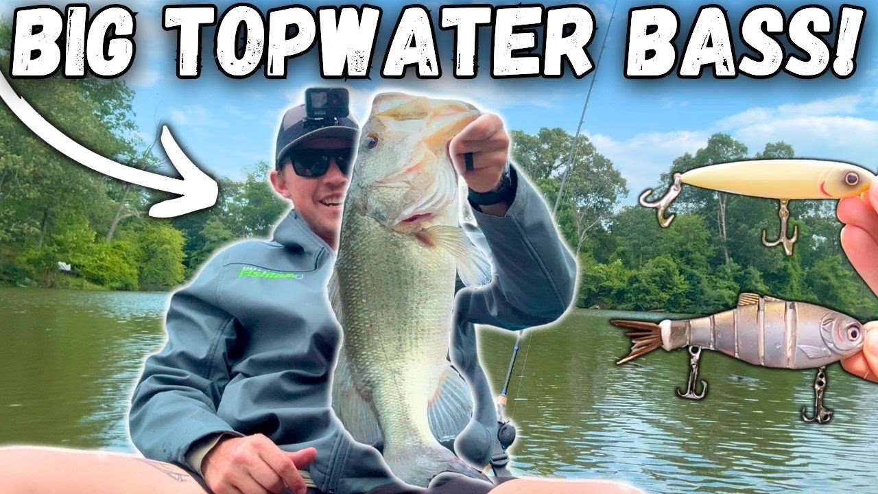 Throwing TOPWATERS And GLIDEBAITS For BIG BASS! (BIG BOATSIDE EATS) | Kayak Bass Fishing!