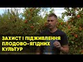 Застосування біологічних ЗЗР на плодово-ягідних культурах. Враження досвідченого садівника.