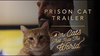 PRISON CAT TRAILER 2 | THE CATS THAT RULE THE WORLD SHEBA®