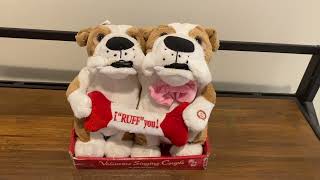 Full I've Got You Babe, Singing Valentine's Dogs Guide