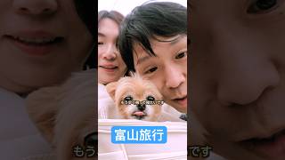 富山は魅力がいっぱい 愛犬と行く富山県氷見市 #犬のいる暮らし #犬とお出掛け