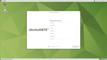 Ubuntu Mate 24.04 LTS Distro Delve