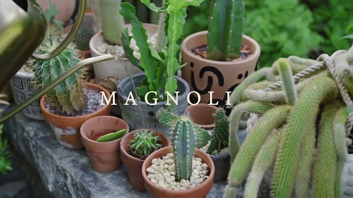 Caring for Common Houseplants— Trailer - DayDayNews