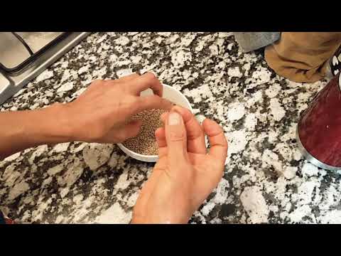 طريقة التخلص من قشور الزوان فوائد حبوب الزوان للجسم كيفية الحصول علي دقيق الزوان بدون قشور