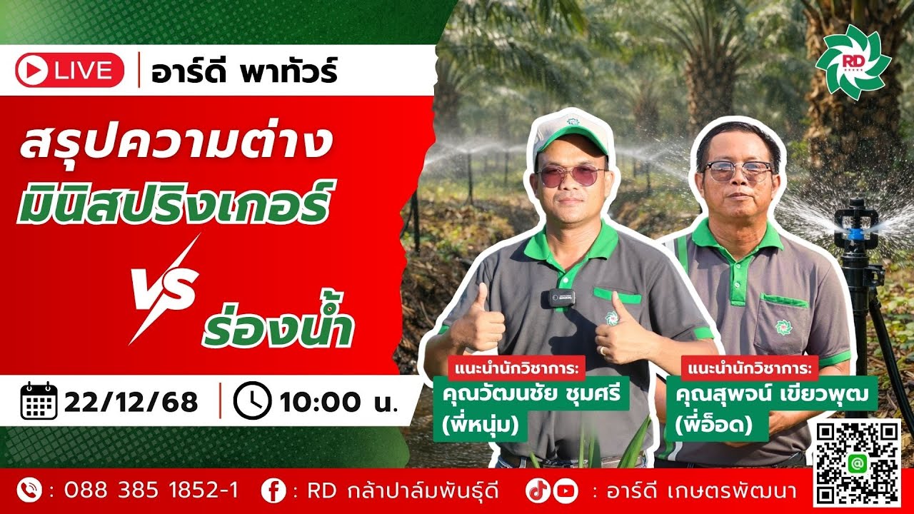 สรุปความต่างมินิสปริงเกอร์VSร่องน้ำ แบบไหนเหมาะกับสวนคุณ?