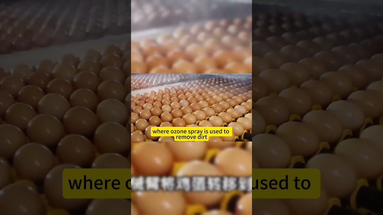 The production process of thousand-layer toast