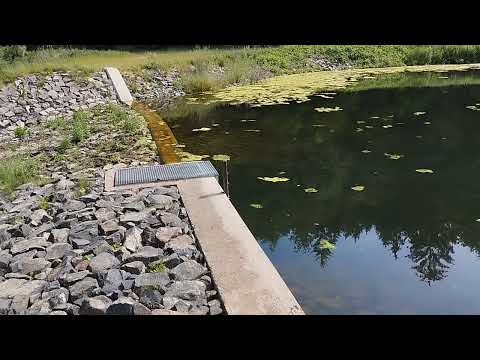 VID 20260531 102843