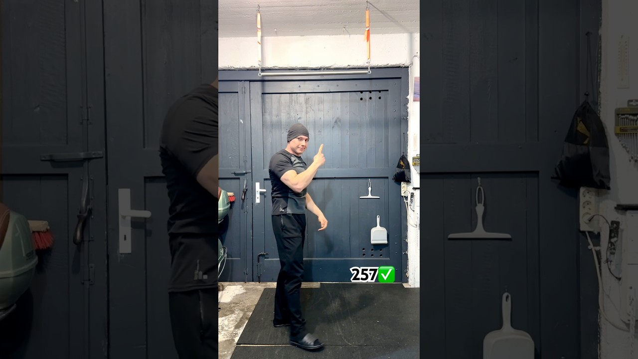 День 00257 | подтягивания каждый день | day 00257 | pull ups every day | Klimmzüge jeden Tag