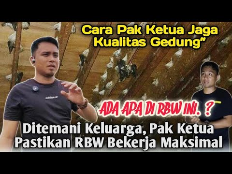 Suara Walet Yang Paling Ampuh.....Waktu 10 JAM!!