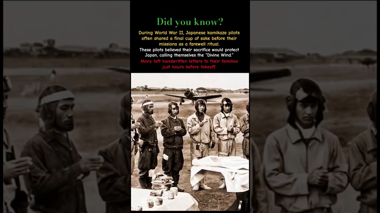 Did You Know Kamikaze Pilots Shared a Final Drink Before Death? | WWII History 