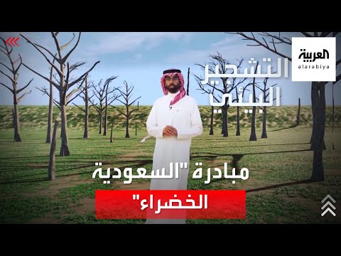 فيديو: زرع أشجار الخليج - تعلم متى تتحرك شجرة الخليج