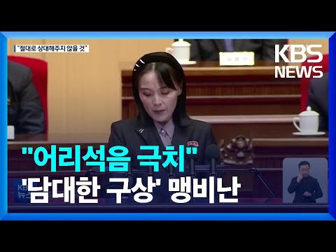 북 김여정, 윤 대통령 '담대한 구상' 맹비난…"어리석음 극치, 상대하지 않을 것" / KBS  2022.08.19.