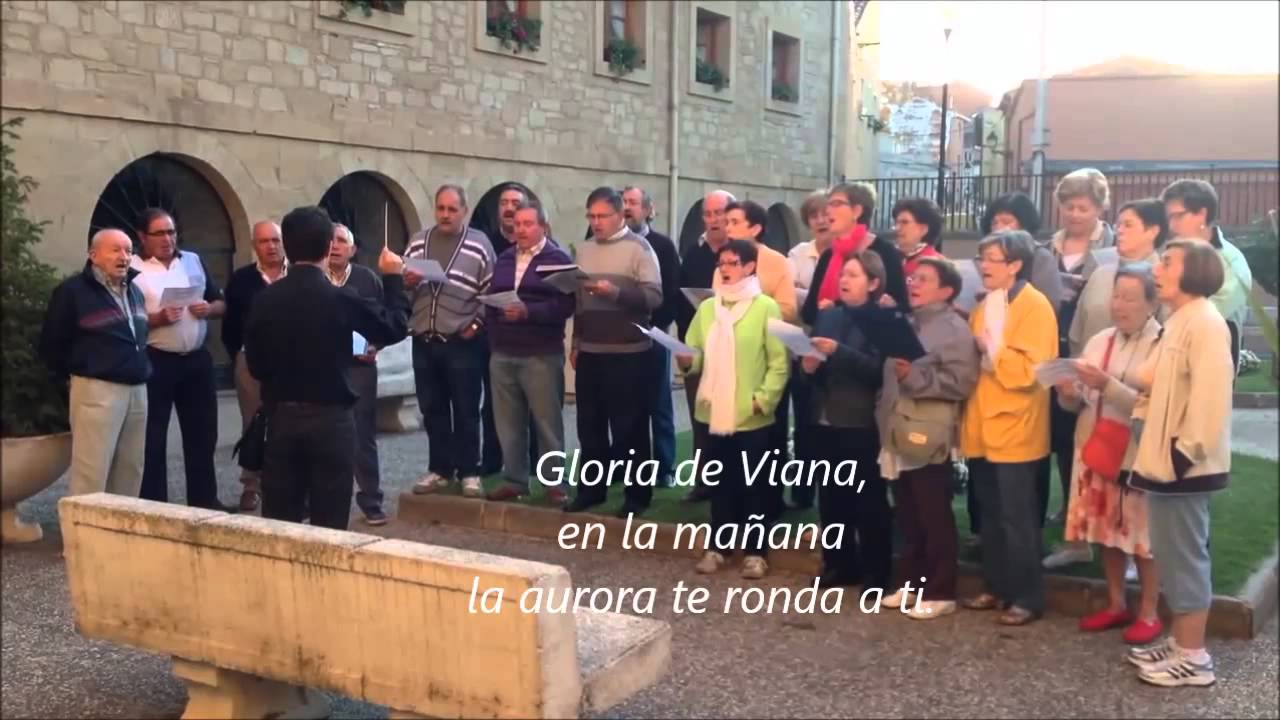 AUROROS DE VIANA  AGOSTO 2013