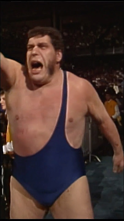 Andre got knocked silly by The Warrior