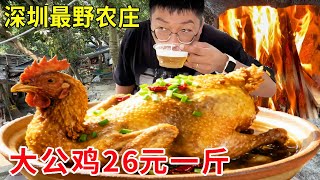 深圳最野最隐蔽农庄，果园大公鸡26元一斤，柴火炒鸡嘎嘎香#麦总去哪吃