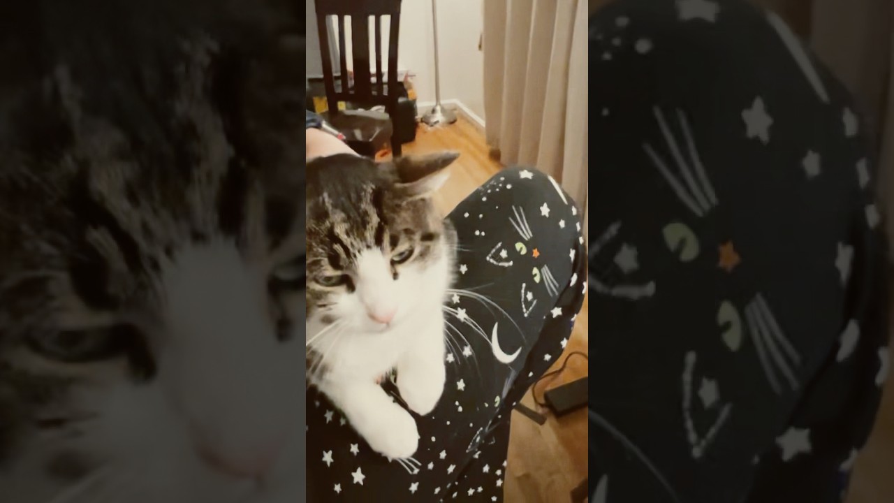 Просто уютный Майк