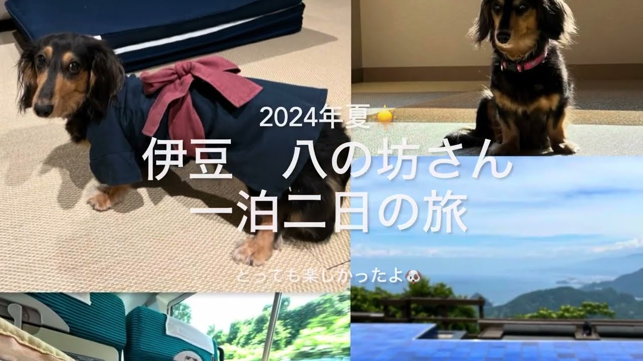 2024夏　伊豆八の坊さん一泊二日の旅