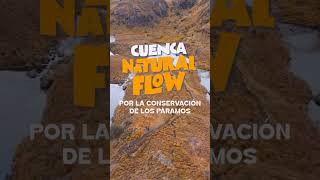 Sé parte del primer festival por la conservación de los páramos
