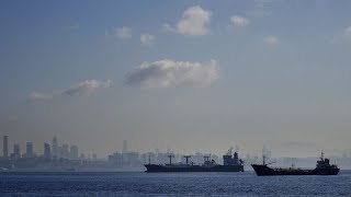 Guerre en Ukraine : La Russie met en garde tout cargo céréalier en mer Noire