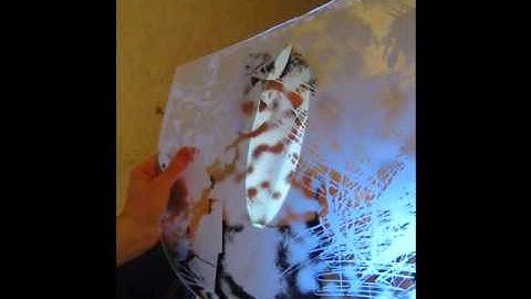 mirror projection, trial