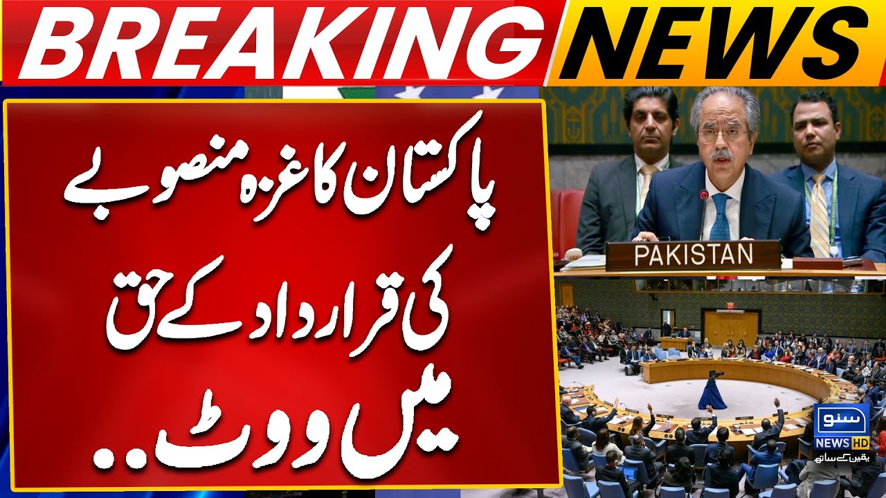 Pakistan Votes in Favor of Gaza Plan Resolution at UN Security Council ...