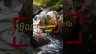 Пословица Вода Камень Точит #Пип #Цитаты #Фразы #Высказывания