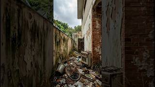Nobody Believed That This Garbage Dump Would Turn Into a Gourmet Area! #shorts #beforeandafter